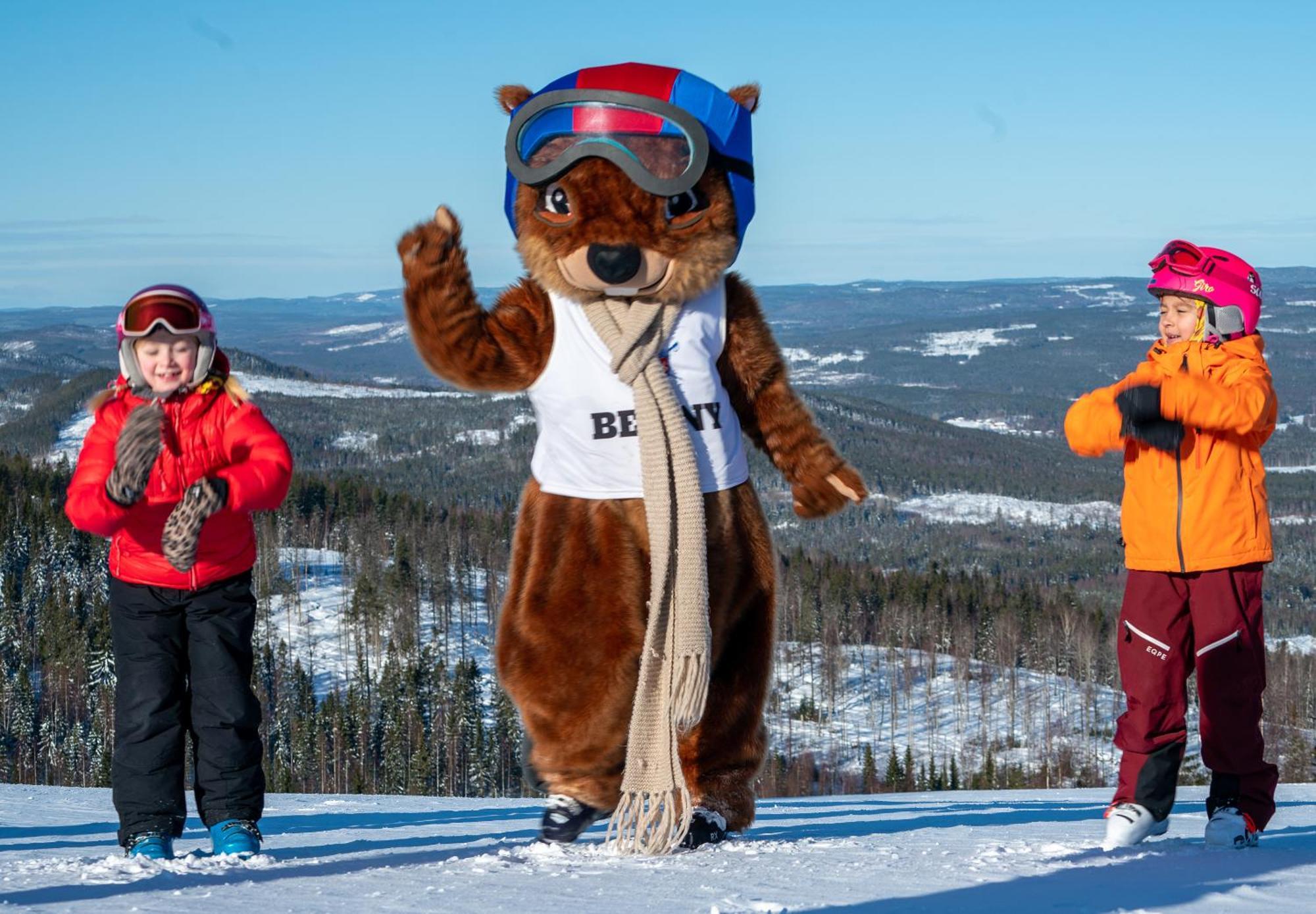 Hassela Ski Resort Kültér fotó